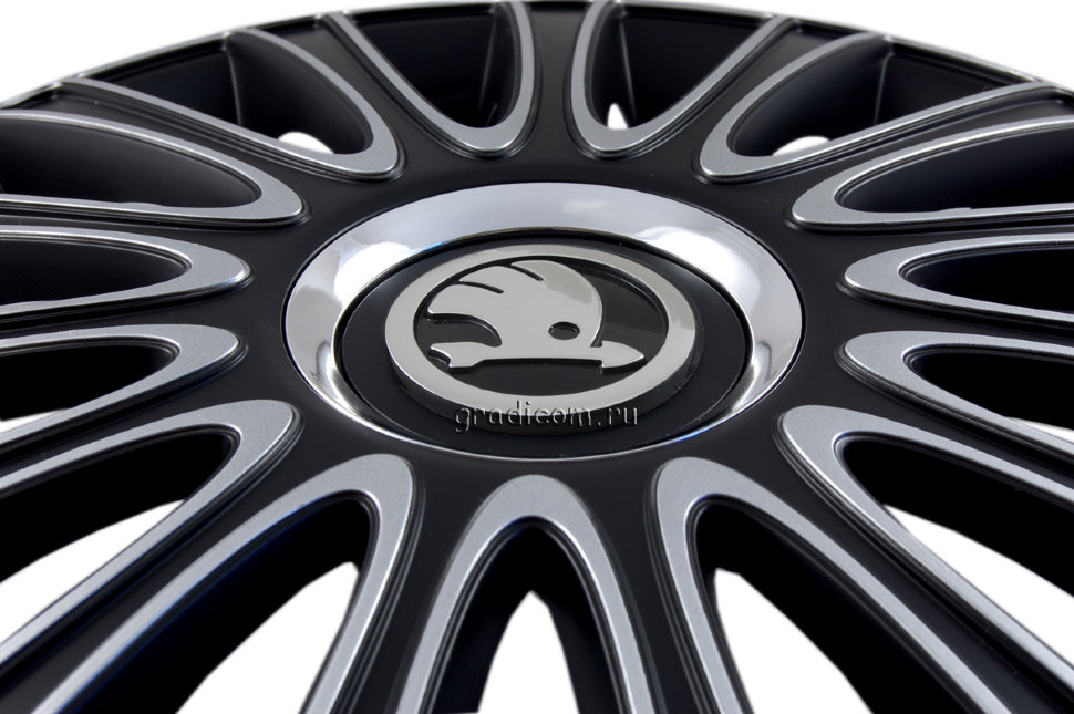 Skoda черный потолок